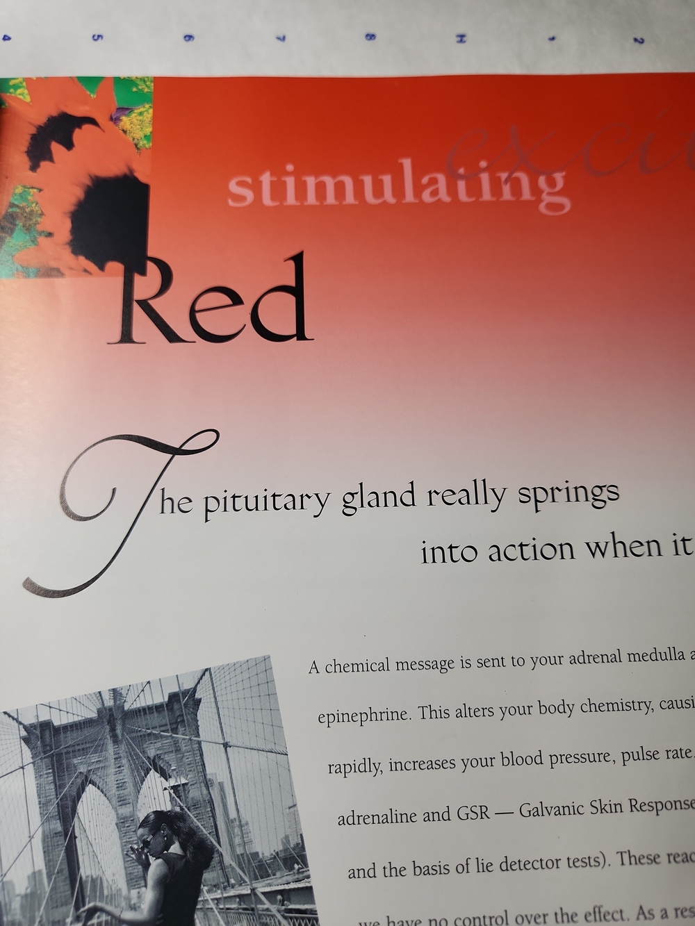 Pantone Guide to Communicating with Color - Color Reference Book - Picture 11 of 13